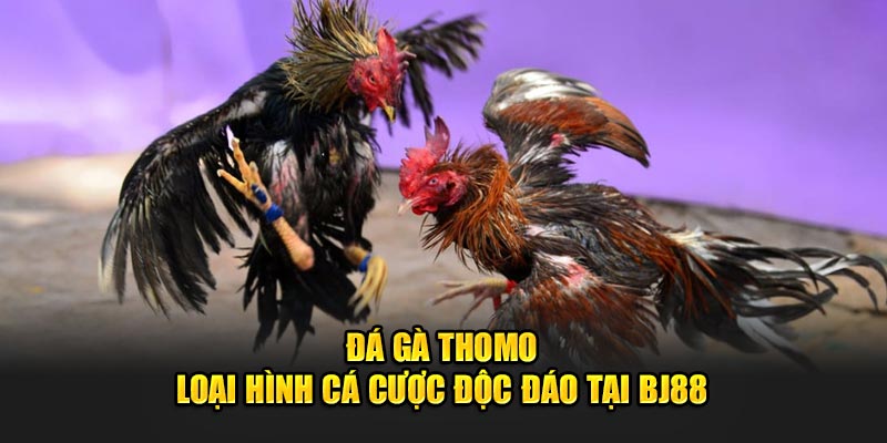 đá gà Thomo - ava